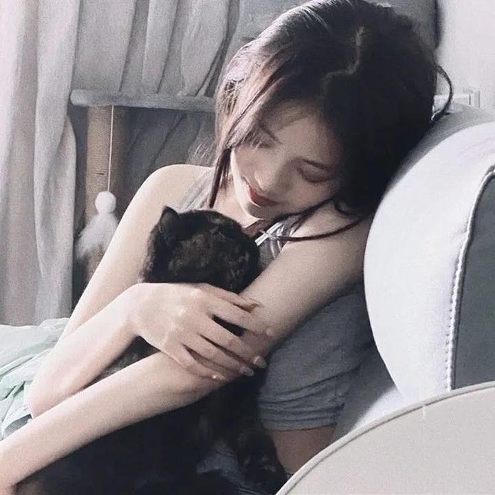 跃动火鹤